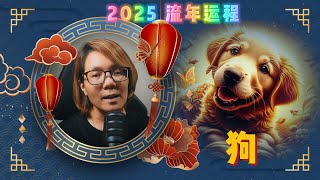 2025年生肖狗运势！Lynn 帶您掌握事业、财富、感情策略