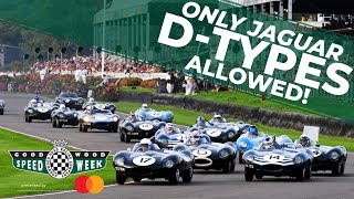 30 Jaguar D-Types attack Goodwood!