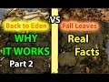 Back to Eden No Till Organic Gardening 101 Method with Mulch VS Leaves Composting Garden Soil  #2