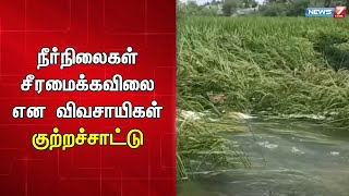 வெள்ளப்பெருக்கால் நீரில் மூழ்கி சேதமான நெற்பயிர்கள்