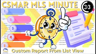 MLS Minute Custom One Line Report with Views