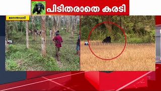 വയനാടിനെ വട്ടംകറക്കി ജനവാസ മേഖലയിൽ കറക്കം തുടർന്ന് കരടി; പ്രദേശത്ത് ജാഗ്രത | Wayanad