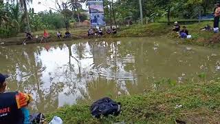 LOMBA MANCING PATIN 200 KG ADA HANTU NYA (ikan besar bersemayam)