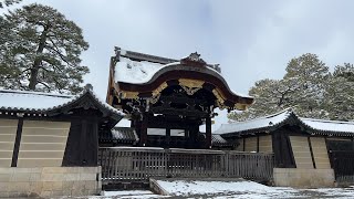 Snow Kyoto Imperial Palace 京都御所 Gonaitei 御内庭-Live🇯🇵2