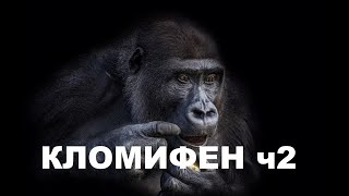 КЛОМИФЕН. Эффекты и побочки часть 2