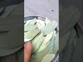 तेज पत्ते से मसाला कैसे बनाएं कैसे सुखाएं bay leaves how to do