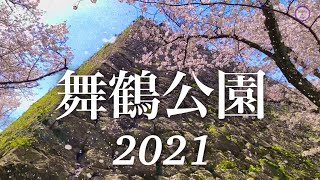 【満開・桜吹雪！】iPhoneでこんなに綺麗！福岡・舞鶴公園 2021