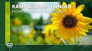 Rams Against Hunger: Fighting Food Insecurity in the Community