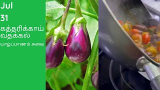 குண்டு கத்தரிக்காய் வதக்கல்|யாழ்ப்பாணம் சுவை|Jaffna Style Chubby EggPlant Devil||Thushi kana🇨🇦