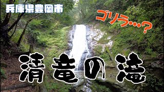 たくさんの生き物に出会る♪兵庫県豊岡市「清竜の滝」