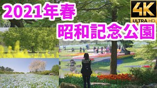 【昭和記念公園2021春】ShowaKinenPark garden Landscape【チューリップ】【菜の花】【ネモフィラ】【α7SⅢ】【4K】