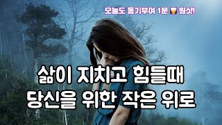 삶이 지치고 힘들때 당신을 위한 작은 위로 #동기부여 #인생시