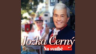 Zaspala Nevěsta