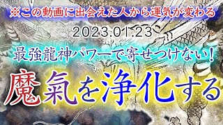 【禍事から守られる！】最強龍神パワーで、魔気を浄化してもらいましょう！