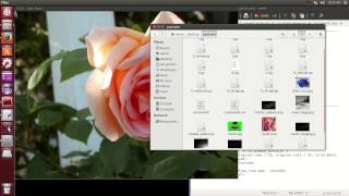OpenCV Programming with Python on Linux Ubuntu Tutorial-6 Converting Images