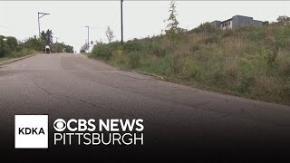 Seniors without transportation in Pittsburgh
