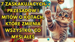 7 ZASKAKUJĄCYCH PRZESĄDÓW I MITÓW O KOTACH, KTÓRE ZMIENIĄ WSZYSTKO, CO MYŚLAŁEŚ.