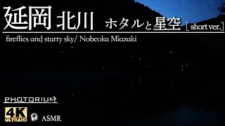 【癒し 体感】ゲンジボタルのほのかな光に感動しました/宮崎・延岡北川ホタルの里 / #japanphoto