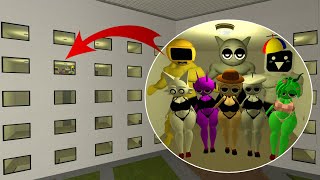 WHAT THEY WANT TO DO WITH MISS YELLOW, MISS RED, MISS ORANGE, MISS PURPLE? In Garry's Mod