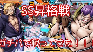 クラッカー、レイリーでSS昇格戦っっ！！！【バウンティラッシュ】