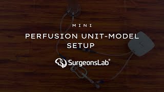Perfusion Unit Model Setup: Revolutionizing Surgical Simulations | SurgeonsLab