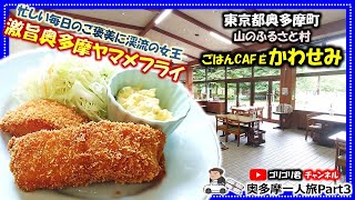 【ごはんCAFEかわせみ】奥多摩一人旅Part3　東京都奥多摩町　忙しい毎日のご褒美に渓流の女王・山のふるさと村で食べる激旨奥多摩ヤマメフライとケーキセット！