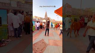 Jay Dwarkadhish🙇🏻‍♂️♥️ #trending #love #dwarkadhish #dwarka #krishna #trending #viralshort