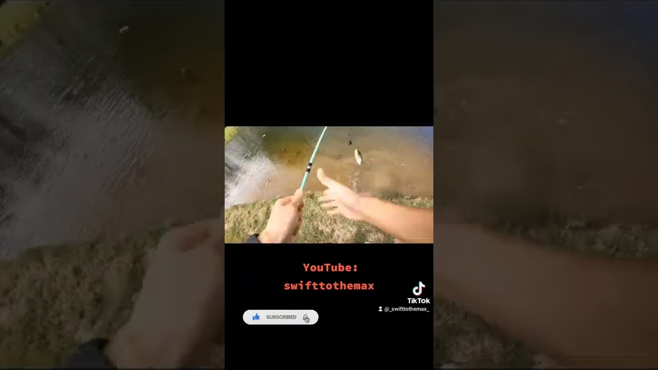 | Catch More Bass with this Versatile Creature Bait! | #shorts