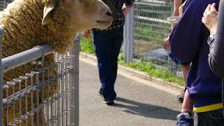 おしゃべり動物　　天王寺動物園編