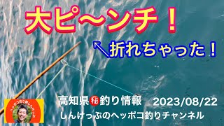 【高知県㊙️釣り情報】非常事態発生！竿、へし折れる！犯人は？