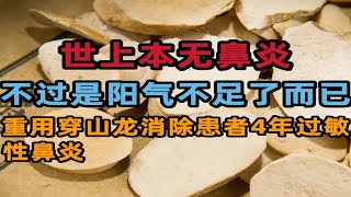 世上本无鼻炎，不过是阳气不足了而已，重用“穿山龙”消除患者4年的过敏性鼻炎