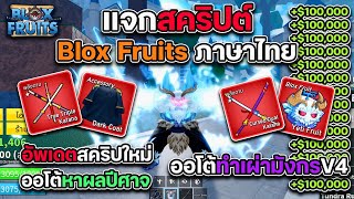 แจกสคริปต์ Blox Fruits ภาษาไทย มือถือล่าสุด ออโต้ไอเทมหายาก ดาบคู่โอเด้ง เผ่ามังกรV4 ผลเเรร์