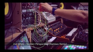 Zed White - Sudden Perspective (Riamiwo Remix) - Studiosession (Riamiwo StudioVlog 95)