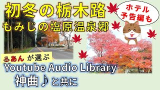 【番外編 もみじの栃木路】塩原温泉周辺　ホテルの予告動画も最後に少しだけ　Youtube Audio Library の神曲と共にご一緒にドライブを！【塩原温泉郷】