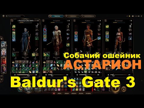 Baldur's Gate 3. Собачий ошейник