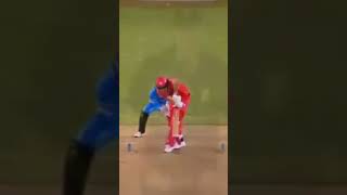 Cricket 🏏 Umpire Funny Moments #youtubeshorts #cricket #shorts
