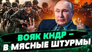 ОГРОМНЫЕ ПОТЕРИ РОССИЯН! КОРЕЙЦАМ ХАНА! ПУТИН КИНЕТ ИХ НА ПОКРОВСК? Что творится на фронте— Снегирев