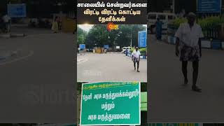 Theni | Andipatti | Bees | Attack | People | Shorts | Sun News