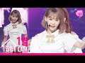 [안방1열직캠4K] 아이즈원 미야와키 사쿠라 공식 직캠 '비올레타(Violeta)' (IZ*ONE MIYAWAKI SAKURA Official FanCam)