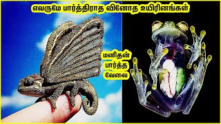 அற்புதம் நிறைந்த உயிரினங்களும் அதன் உருவாக்கமும் amazing and unique animals created by humans 11