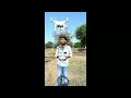 phantom 4 dron video