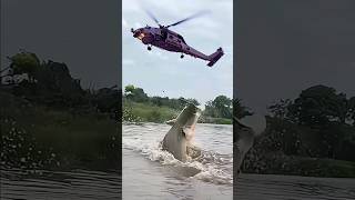 helikopter tangkap ikan besar