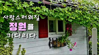 [감성정원] 사랑스러워질 정원을 기다리다