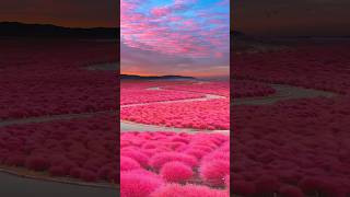 pink sky isn't this beautiful #subscribe #trending #follow #viral #foryou