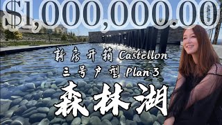 【新房開箱】尔湾东邻森林湖| Castellon三号户型| 一百万美元268平米时尚社区 Mina Realty Tour Lake Forest Serrano Summit Castellon 3