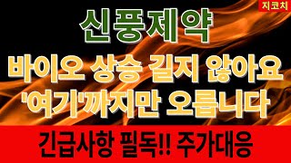 [신풍제약] 코X나 상승주 길게 못봅니다 딱 이번주까지 00만원까지 갑니다 주주분들 필수시청!! 신풍제약주가전망 신풍제약대응 신풍제약뇌졸증