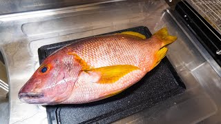 極一部の人のみぞ知る幻の高級魚「白シブダイ」を3日間寝かせて食うと…。