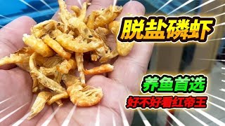 为了省时间现场版介绍鱼饲料，我的猛鱼苗全都吃，好用程度天花板