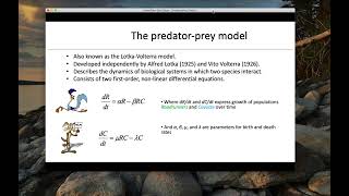 Tutorial 1: Basic System Dynamics Modeling