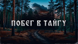 ПОБЕГ В ТАЙГУ! Страшные Истории На Ночь!